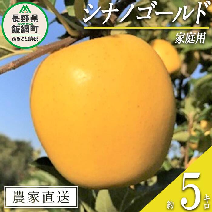【ふるさと納税】 りんご シナノゴールド 家庭用 5kg ファームトヤ 沖縄県への配送不可 令和7年度収穫分 長野県 飯綱町 〔 信州 果物 フルーツ リンゴ 林檎 長野 14000円 予約 農家直送 〕発送時期：2025年11月中旬〜2025年12月下旬 {**}