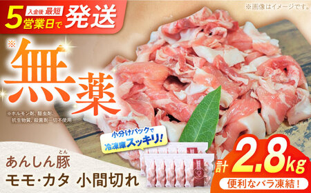 《バラ凍結》 豚肉 モモ・カタ 小間切れ 2.8kg （280g×10袋）白川町 / 藤井ファーム[AWAF029]