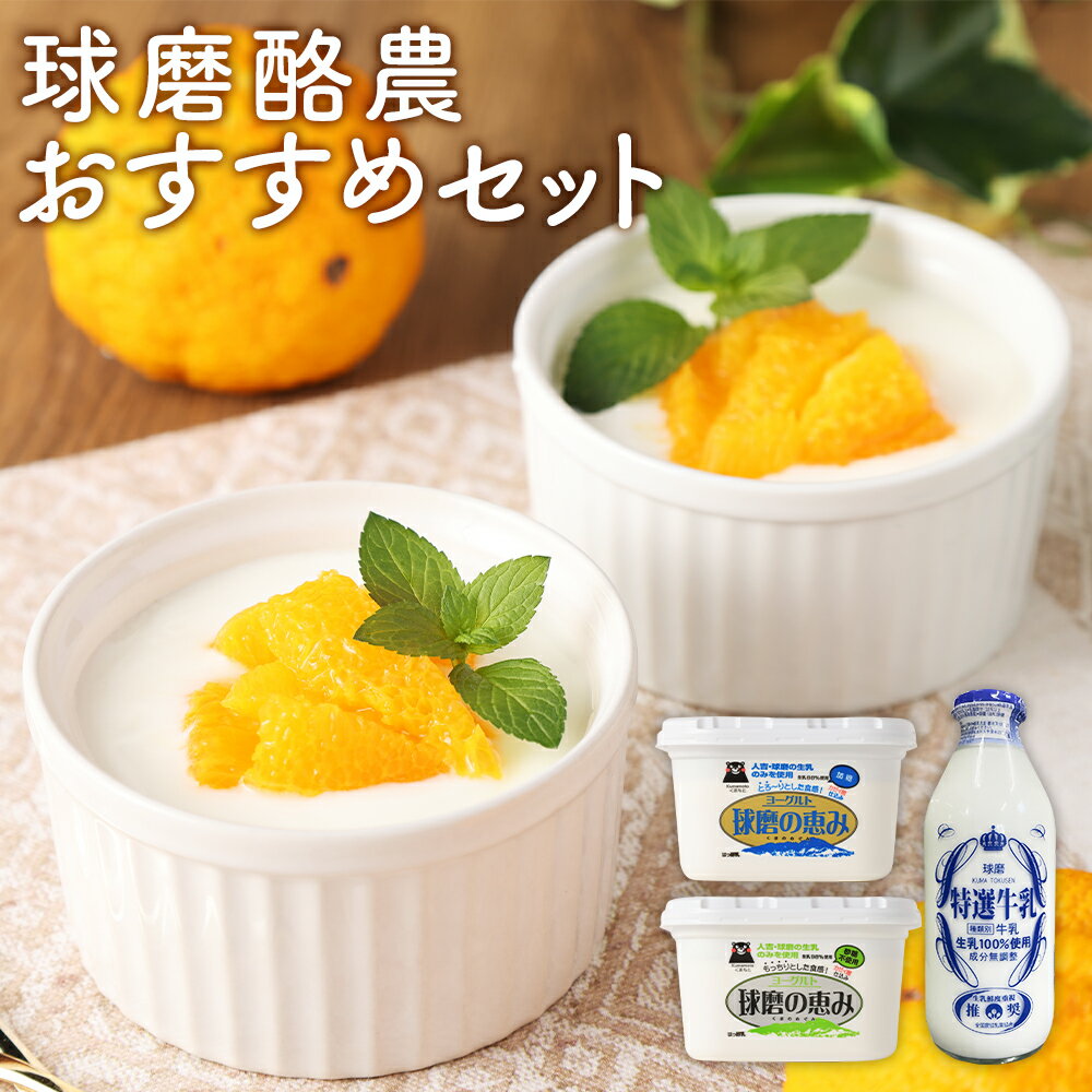 【ふるさと納税】球磨酪農おすすめセット 選べるセット 瓶牛乳 ヨーグルト 加糖 砂糖不使用 乳製品 牛乳 瓶 熊本県産 九州産 冷蔵 送料無料