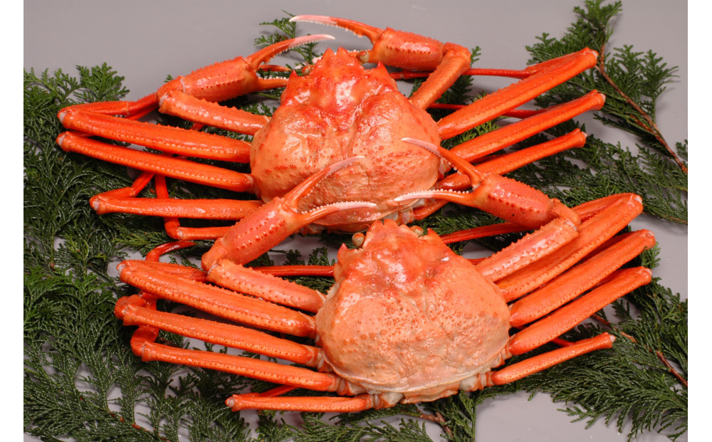 境港産　松葉がに・紅ずわいがに　食べ比べセット