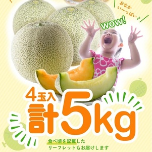 SA2932　庄内砂丘 『青肉・赤肉メロン』セット　約5kg 計4玉(各2玉入) 品種おまかせ