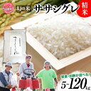 【ふるさと納税】新米 米 定期便 精米 希少 品種 米 令和6年 宮城県産 ササシグレ 栽培期間中 農薬 肥 不使用 精米 5kg 10kg 単品 3ヶ月 6ヶ月 12ヶ月 定期便 [ 宮城県 加美町 ] 米 お米 こめ コメ 精米 白米 玄米 ササニシキ