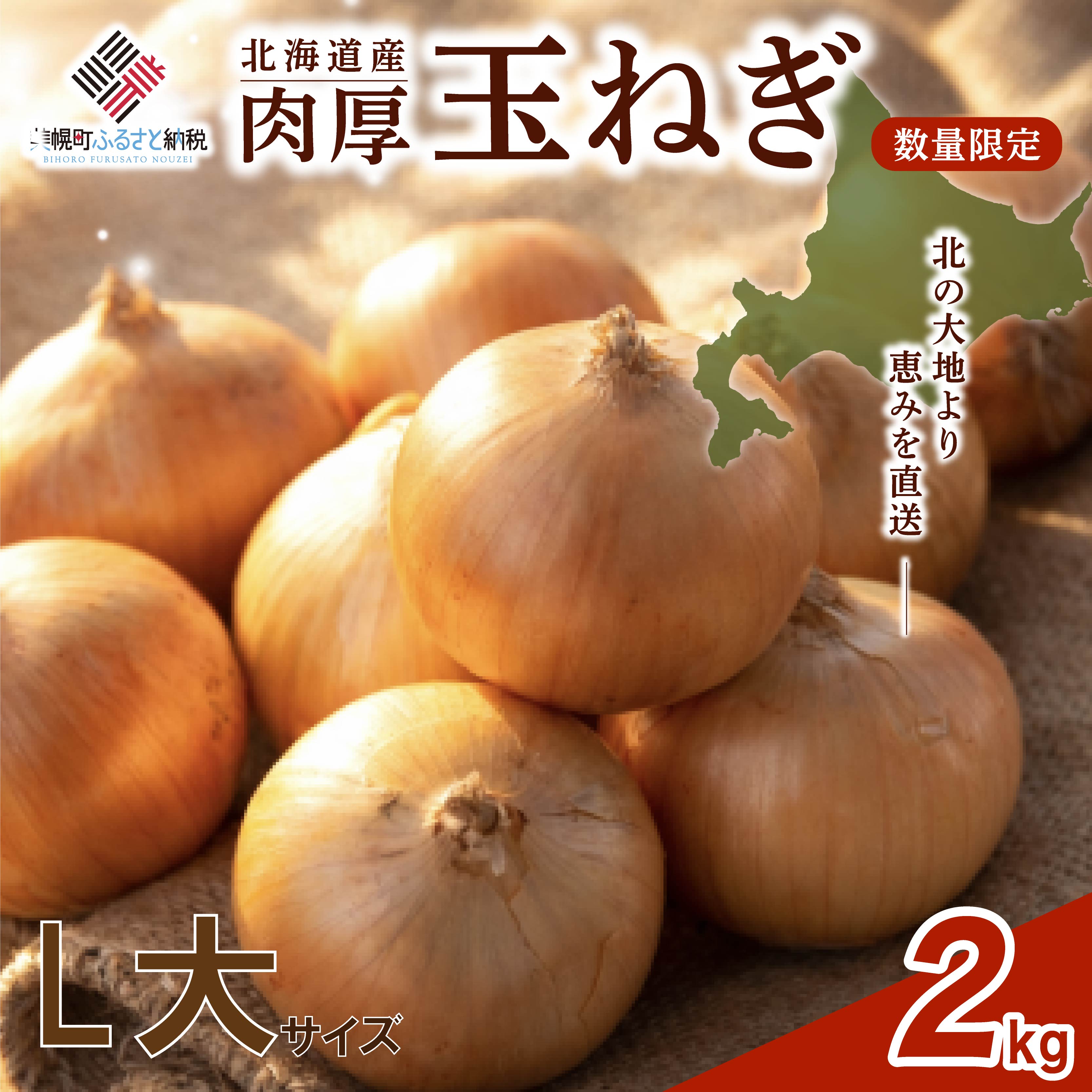【ふるさと納税】 数量限定 玉ねぎ 2kg 【 先行予約 R8年度産 L大サイズ】 人気 ランキング 玉ねぎ 国産 野菜 北海道 美幌町