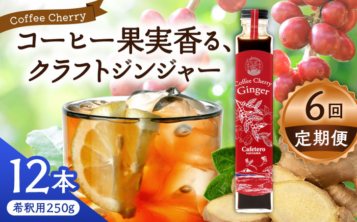 
            【先行予約】【2025年9月中旬から順次発送】【全6回定期便】カフェテーロ葉山　コーヒーチェリージンジャー　250g×12本 / コーラ エナジードリンク 酸味 コーヒー  神奈川県 葉山町 クラフトコーラ 天然 ドリンク 炭酸【合同会社エンディレクト】 [ASBM017]
          