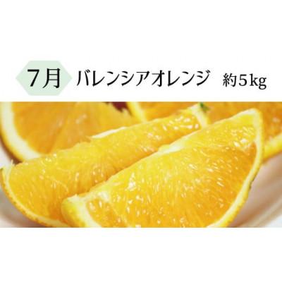 ふるさと納税 北山村 【発送月固定定期便】暑い季節にお届け!果物定期便 バレンシアオレンジ・桃・柿【tkb142】全3回 |  | 01