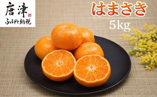 
                  『先行予約』【令和9年2月上旬より順次発送】【特選甘熟みかん】はまさき 5kg 佐賀県産 果物フルーツ 柑橘
                