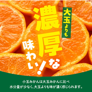 【2026年先行予約】みかん とにかく 小玉 箱込 2.5kg ( 内容量 2.3kg ) 2Sサイズ以下 秀品 優品 混合 有田みかん 和歌山県産 産地直送 【みかんの会】_MK1000