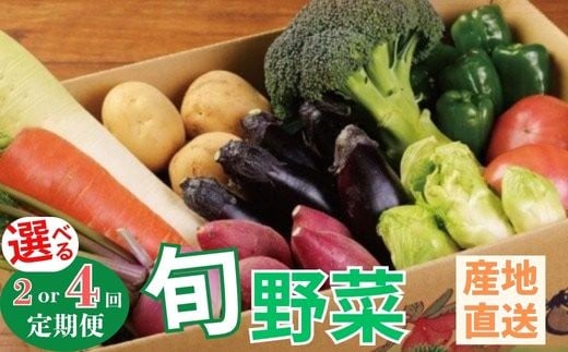 
            【選べる定期便】季節のお野菜詰め合わせセット 定期便 旬のおまかせ 詰め合わせ 産地直送 季節の新鮮 野菜 定期便 果物 セット じゃがいも きゅうり トマト とうもろこし アスパラガス 玉ねぎ 蓮根 等  ふるさと納税 高知県 室戸市
          