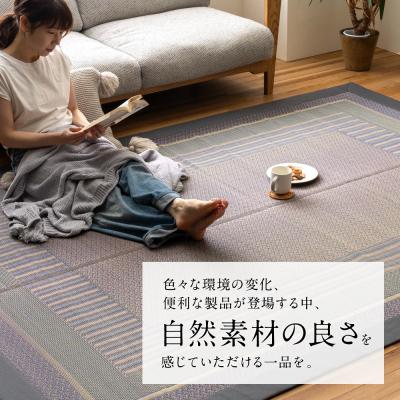 ふるさと納税 八代市 熊本県八代市産のい草を使って織り上げたござ『DXオルシャ』140cm×200cm_022-6483 |  | 01