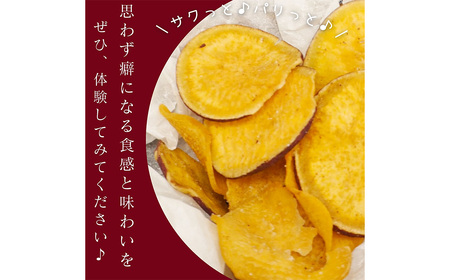 105-1121 大分県産 さつまいも 焼塩 チップス 45g×10袋 芋 いも スナック お菓子 おやつ 紅はるか