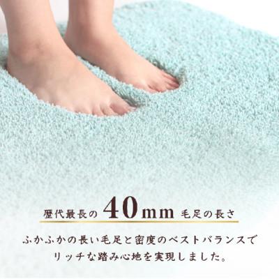 ふるさと納税 海南市 バスミューズミレニアムバスマット　50×70cm　ブルー　吸水速乾　抗菌防臭 |  | 03