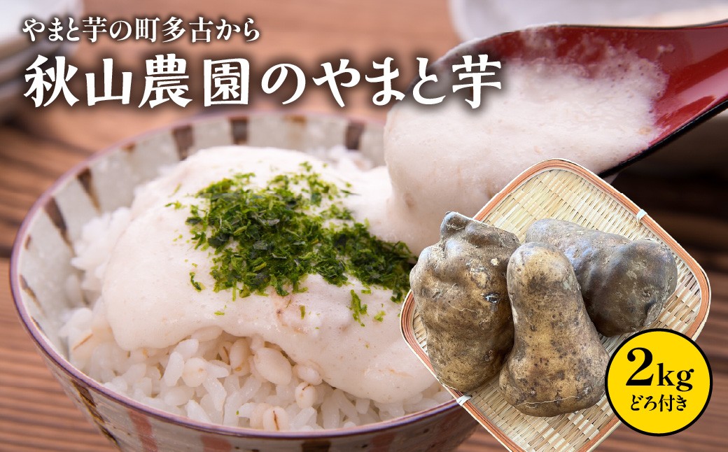 
                  やまと芋の町!多古から「秋山農園のやまと芋」2kg(どろ付き) TAKF050
                