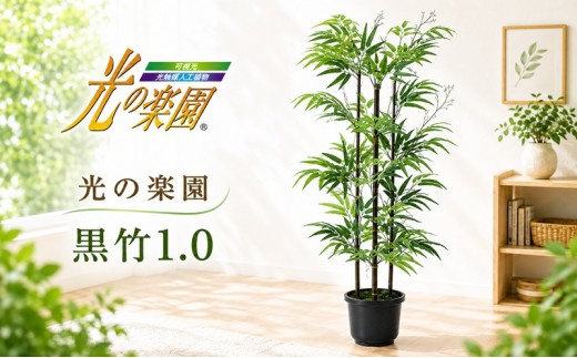 
光の楽園　黒竹1.0【配送不可：北海道・沖縄・離島】 [№5786-2593]
