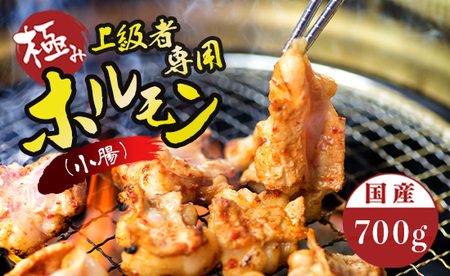 国産牛 極上 上級者専用 ホルモン (小腸) 700g タレ付き : ホルモン