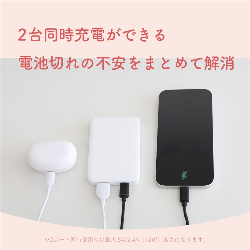 Owltech(オウルテック) 5000mAh 最大12W入出力対応 USB Type-C入出力／USB Type-A出力 モバイルバッテリー OWL-LPB5028-BK ブラック【 神奈川県 海老