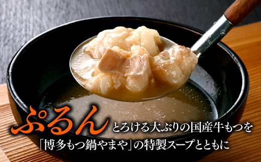 AF056.【やまや】博多もつ鍋（こく味噌味・3～4人前）