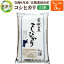 【ふるさと納税】【令和6年産・白米】宮城県栗原市産 コシヒカリ 5kg (5kg×1袋)