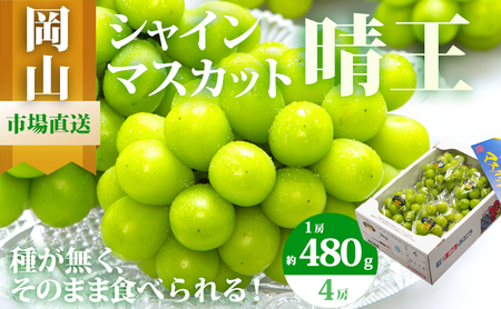 シャインマスカット 岡山県産 シャインマスカット【4房 約2kg】【先行予約】