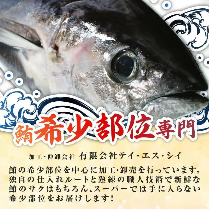 天然本鮪 上脂 トロ サク（ 1柵 ） M081-004-01 冷凍 マグロ