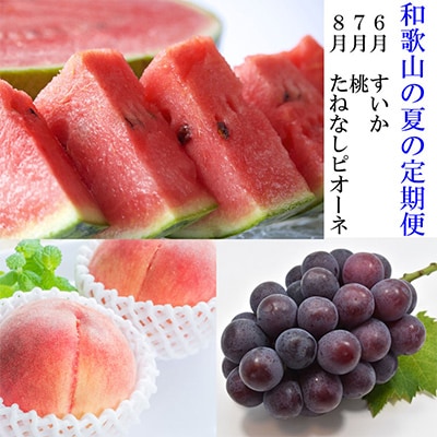 【発送月固定定期便】和歌山の夏の人気フルーツ定期便 全3回【配送不可地域：離島・北海道・沖縄】【4004452】