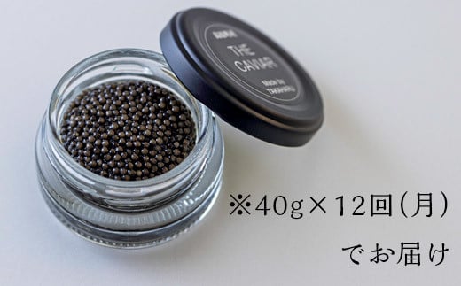 『定期便』:12ヶ月　THE・CAVIAR(ザ・キャビア)40g　 TF0497