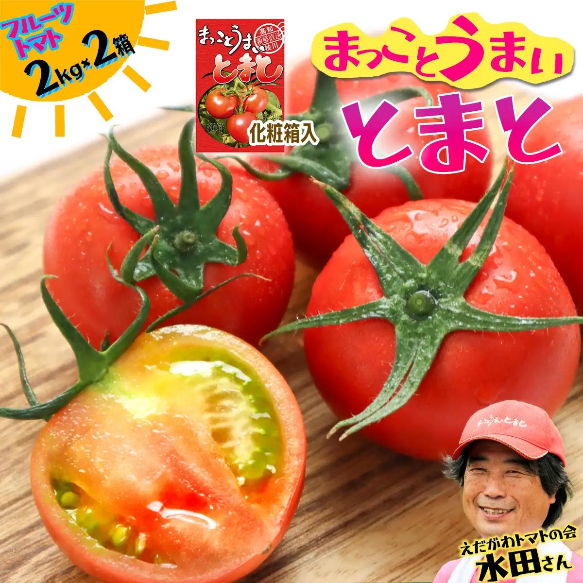 まっことうまい！水田さんのフルーツトマト【約２kg×2箱 / 化粧箱入】