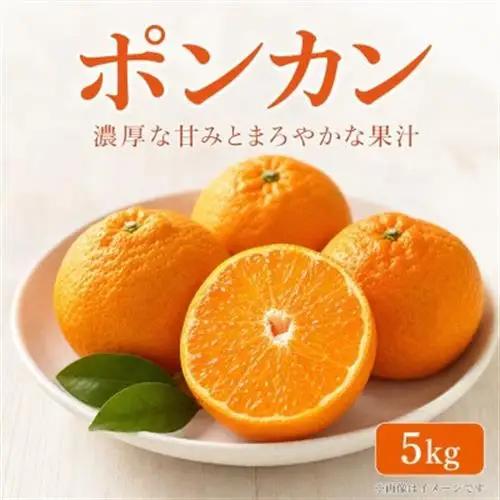 【日高町】紀州和歌山有田産ポンカン　5kg【1217367】
