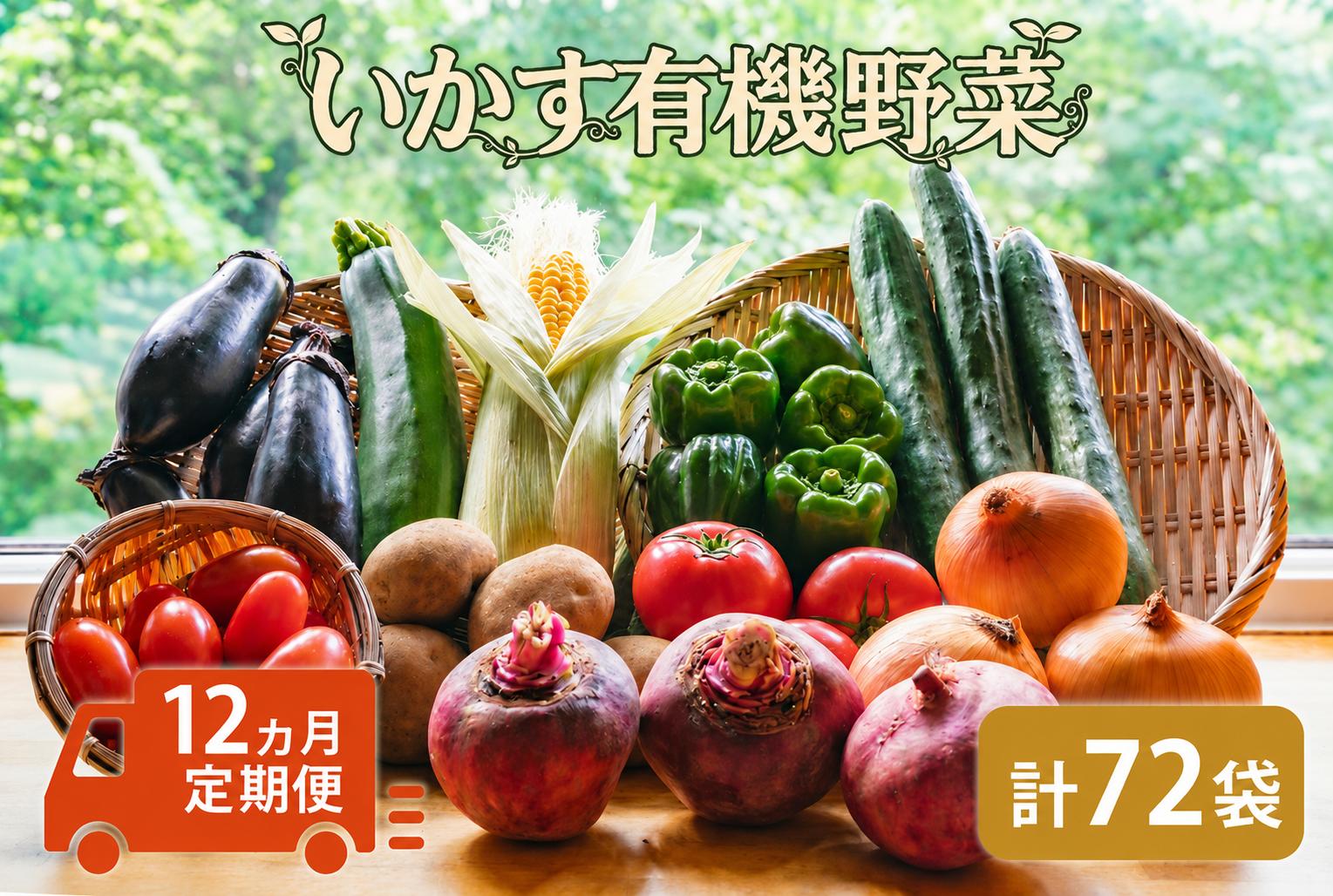 
                  【定期便】 野菜 定期便 いかす有機野菜  毎月12回 1年分 6袋 計72袋 野菜 有機野菜 やさい yasai 定期便 ふるさと納税野菜 神奈川県 平塚市 いかす
                