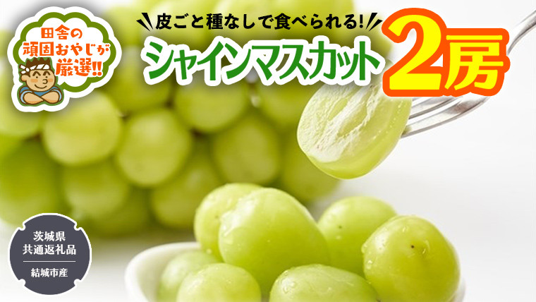 
            田舎の頑固おやじが厳選！シャインマスカット2房【2025年8月から発送開始】（茨城県共通返礼品 [ぶどう]：結城市産） マスカット 種なし 高糖度 ギフト お中元 甘い 美味しい フルーツ ぶどう
          