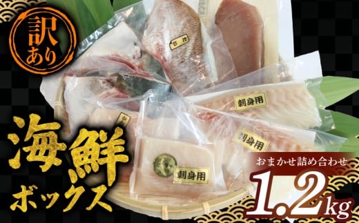 【3月発送】 訳あり 海鮮ボックス 1.2kg セット 海鮮 魚介類 魚 鮮魚 冷凍 まぐろ マグロ 鯛 かんぱち 勘八 シマアジ ヒラマサ 刺身 刺し身 お刺身 小分け 国産 三重県 南伊勢 伊勢 志摩 城水産 11000円 一万五千円以下