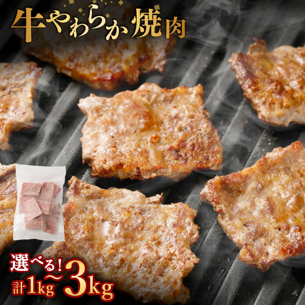 【ふるさと納税】＜選べる内容量＞牛やわらか焼肉 1パック500g 2パック / 4パック / 6パック 計1kg / 計2kg / 計3kg 牛肉 お肉 焼き肉 冷凍 熊本県 あさぎり町 送料無料