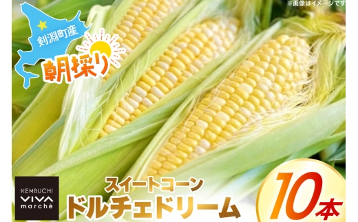 剣淵町産 ドルチェドリーム スイートコーン 10本 [けんぶちVIVAマルシェ 北海道 剣淵町 14656378] とうもろこし トウモロコシ スイートコーン 甘い 夏