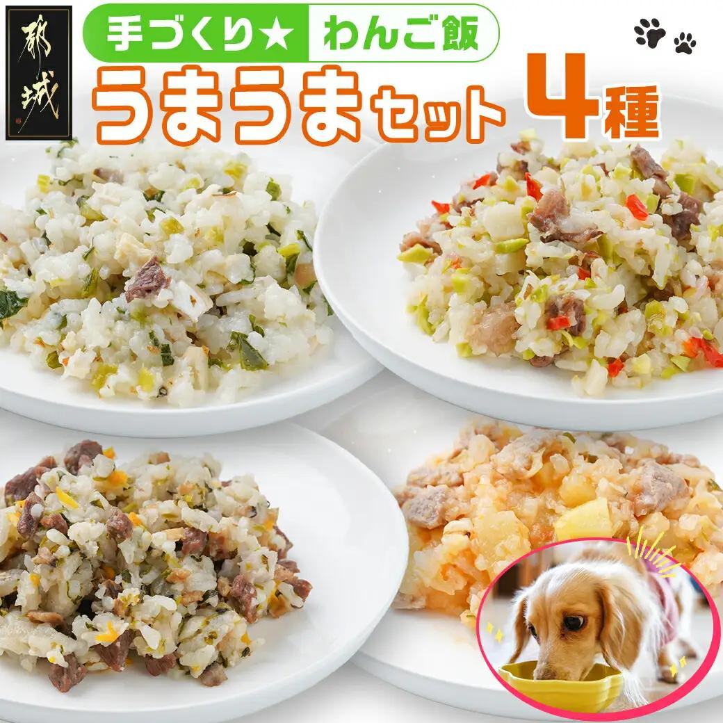 手づくり☆わんご飯『うまうまセット』_12-J501_(都城市) 犬用 手づくりご飯 ぶり大根 馬肉ッパ 牛しぐれ 豚肉ポトフ ドッグフード ペットフード