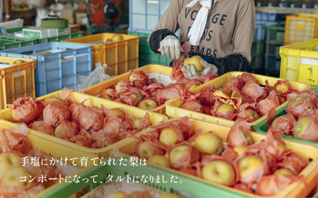  【先行受付】梨タルト 梨 タルトタルトタルト タルト タルト タルトタルト タルト