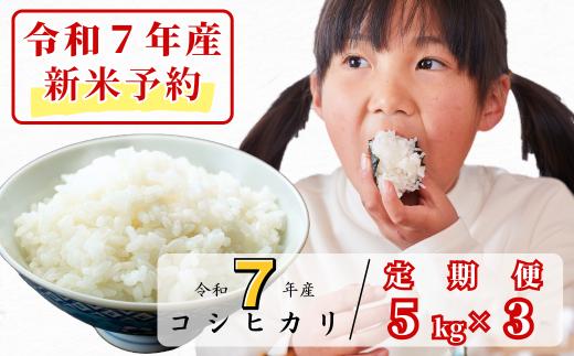 
            《令和7年産新米予約・10月ごろよりお届け開始》【3回定期便】白米 5kg 令和7年産 コシヒカリ 岡山 あわくら源流米 K-af-BEEA
          