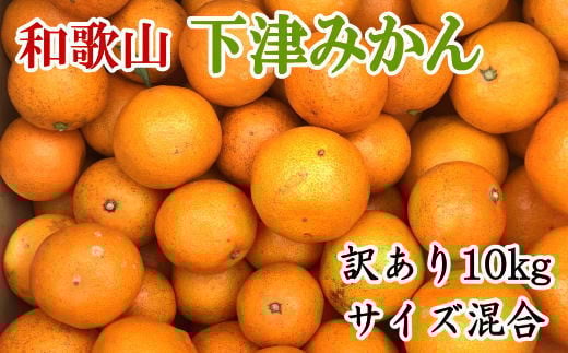 【訳あり】和歌山下津みかん約10kgご家庭用向け(サイズ混合) ※2025年11月中旬～2026年1月中旬頃に順次発送【tec885A】