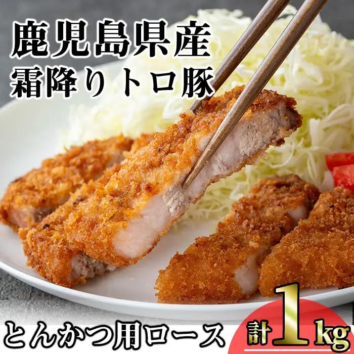 鹿児島県産 豚肉 霜降り トロ豚 とんかつ ロース (計1kg・200g×5枚)【KNOT】 A571