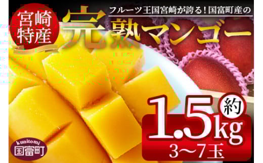 期間限定！2025年発送 ＜宮崎特産！国富町産の完熟マンゴー 3～7玉（約1.5kg）＞2025年4月中旬～6月中旬迄に順次出荷