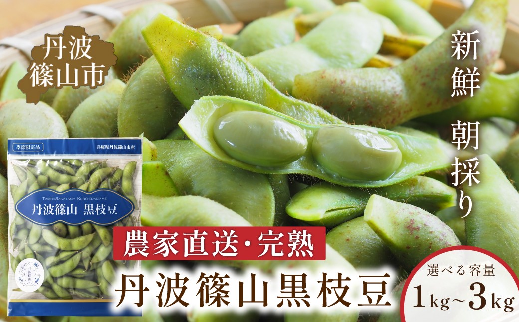 
            丹波黒枝豆 さや 丹波篠山産 完熟枝豆 1kg〜3kg 1kg/1.5kg/2kg/2.5kg/3kg  農家直送 小分け【季節限定 おつまみ 枝豆 えだまめ 黒豆 ご当地グルメ 特産品】 
          