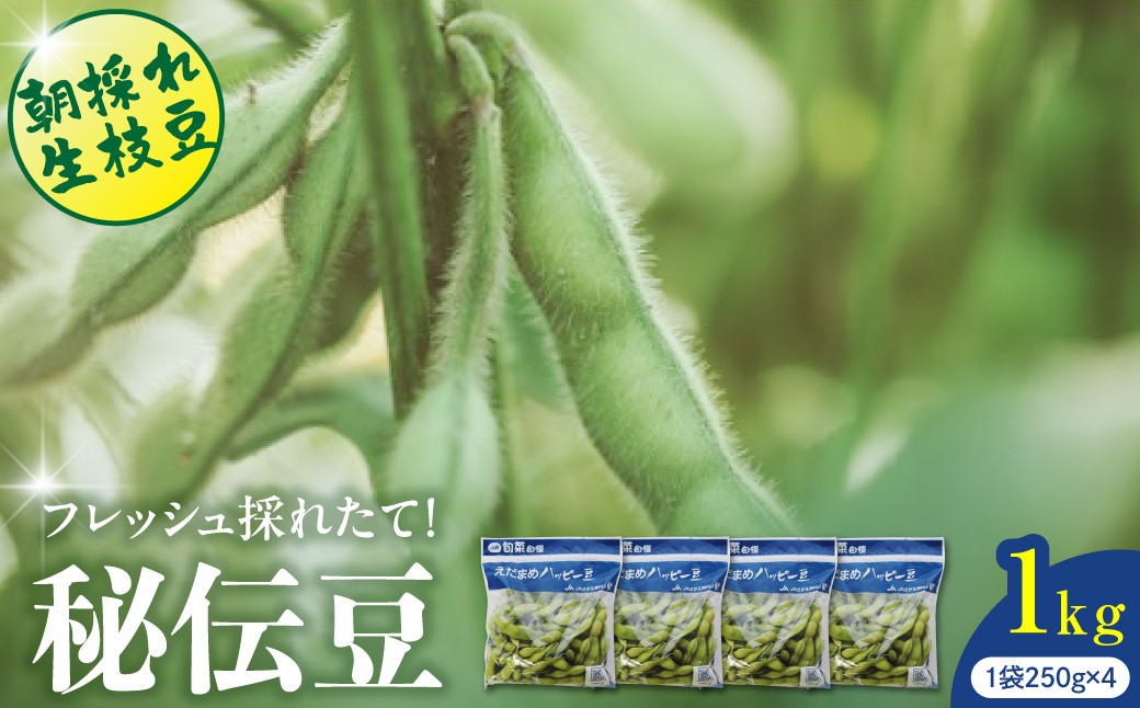 
                  フレッシュ採れたて！香りしっかり！河北町産秘伝豆（枝豆）1kg ka019-033　（山形県 河北町産 鮮度抜群 朝採れ 朝どり 生枝豆 ひでんまめ ひでん豆 えだまめ えだ豆 香り 濃い 濃厚 大粒 旬 採れたて フレッシュ 冷蔵 数量限定 期間限定 先行予約 ブランド 豆 野菜 おつまみ 晩酌 特産品 お取り寄せ グルメ 送料無料）
                