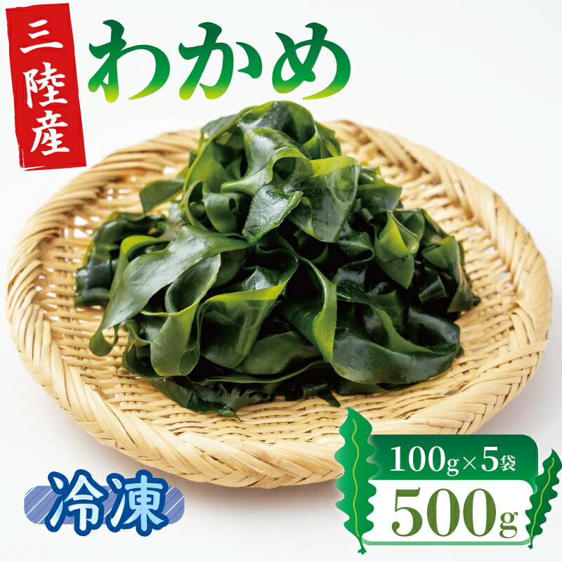 【ふるさと納税】 冷凍 塩蔵わかめ 500g わかめ ワカメ 若芽 湯通しわかめ 海藻 海産物 三陸 国産 岩手県 国産 味噌汁 ごはん 夕飯 おかず サラダ お刺身 刺し身 刺身 大船渡 三陸 岩手県 国産