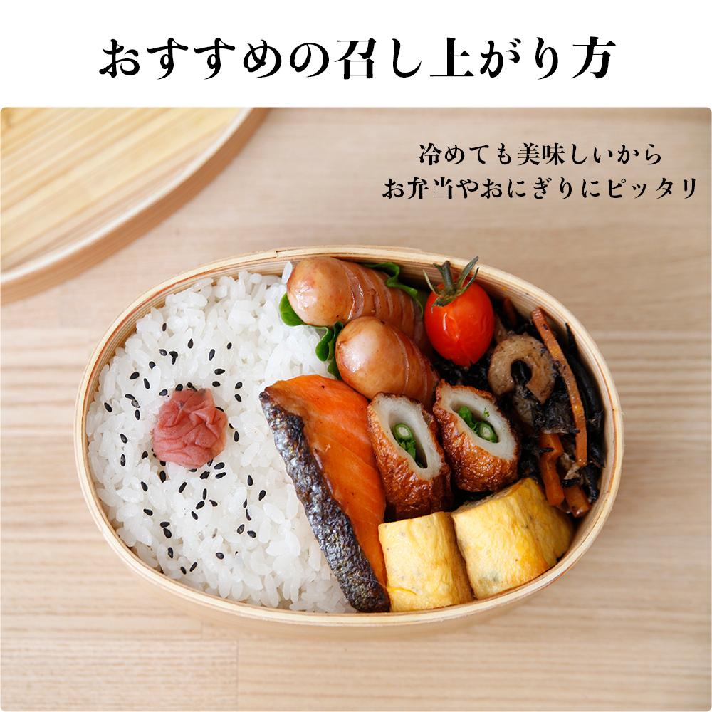 【令和7年産・無洗米・真空パック・低農薬栽培】 あさひかわ産 ななつぼし 2kg×3袋（2026年5月中旬から発送開始予定）_03138 ●