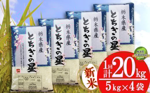 【栃木県共通返礼品】【先行予約】【10月発送】とちぎの星 20kg（5kg×4袋） | 米 こめ コメ kome 白米 精米 お米 とちぎのほし トチギノホシ ﾄﾁｷﾞﾉﾎｼ 粘り 弾力 冷めても美味しい 丼もの カレー 新米 栃木米 令和7年度米 令和7年度 2025年度米 2025年度 ブランド米 栃木県 特産品 送料無料 栃木県 下野市 しもつけ市