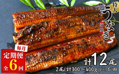 【6カ月定期便】特大うなぎ蒲焼き2本セット×6回 / 和歌山 田辺 うなぎ 鰻 かば焼き うな丼 うな重 国産 鰻丼【kpy025-tk】