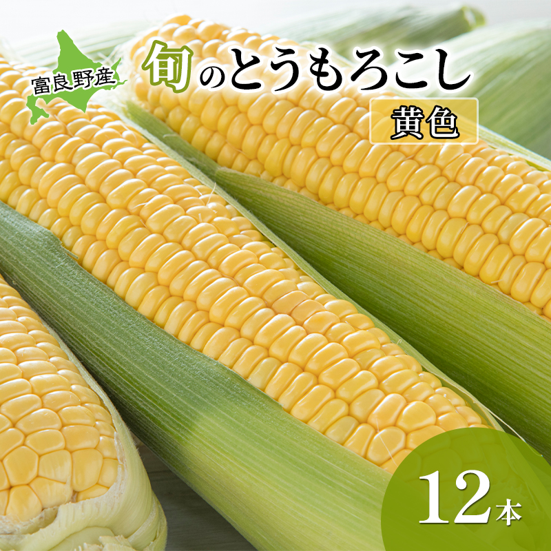 【2026年夏発送】  とうもろこし 富良野産 旬のとうもろこし