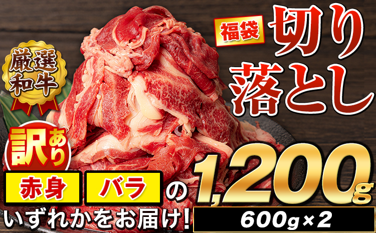 訳あり あか牛（褐毛和牛）切り落とし福袋 1.2kg 熊本県産 肉 和牛 牛肉 冷凍 規格外 不揃い《1-5営業日以内に出荷予定(土日祝除く)》送料無料