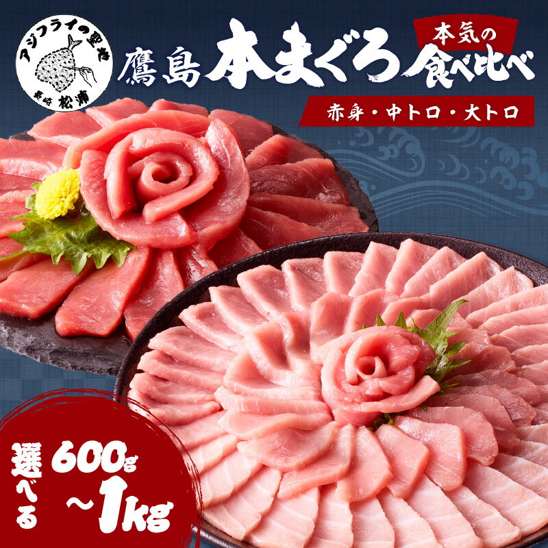 【ふるさと納税】鷹島本まぐろ本気の食べ比べ( 赤身・中トロ・大トロ ）合わせて 600g 800g 1000g