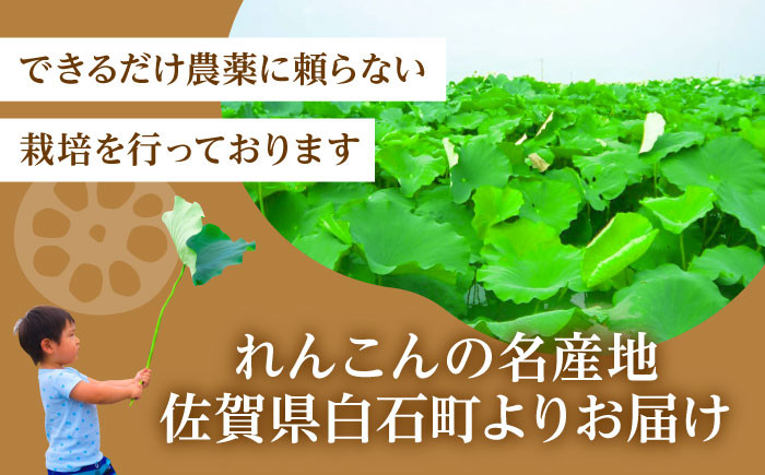 お手軽調理の水煮れんこん！