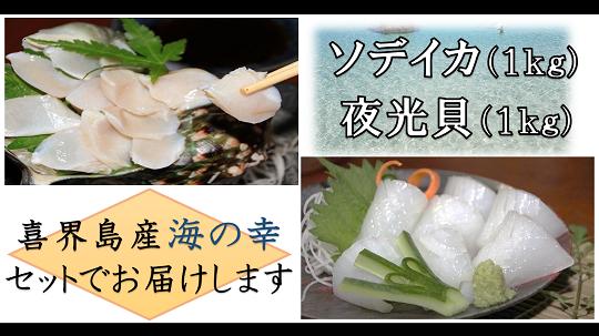 
            【真空冷凍】夜光貝の刺身１kg・ソデイカ１kg【漁師直送!!】
          
