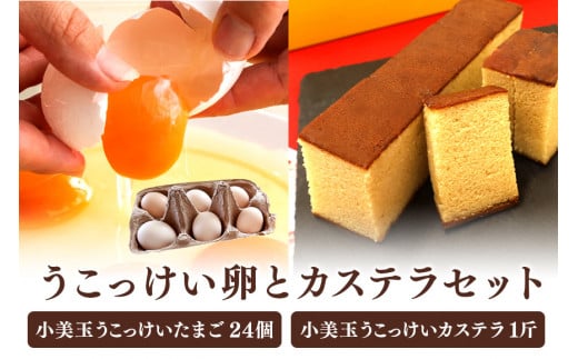小美玉カステラとうこっけい卵　24個（20＋補償4個）セット カステラ かすてら 烏骨鶏 卵 うこっけい 鶏卵 高級卵 高級 たまご 玉子 烏骨鶏の卵 国産 ギフト スイーツ 菓子 焼き菓子 焼菓子 御贈答 お返し 安全 マニアさん 健康 美容  目玉焼き 卵焼き 卵かけごはん TKG 37-M